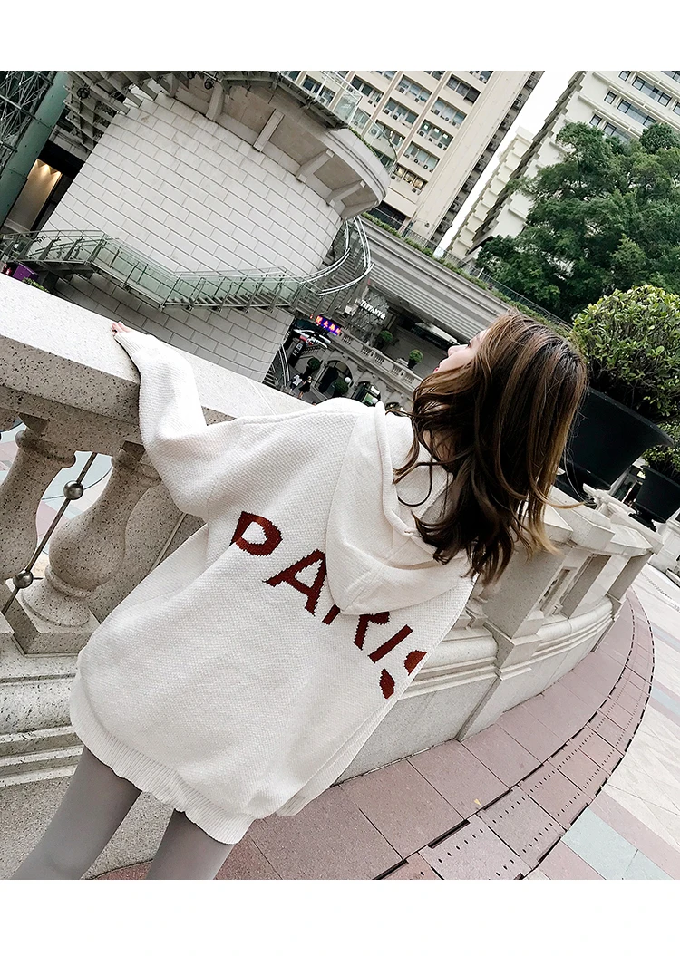 

Women Sweatshirts Winter Harajuku Pullover Thick Loose cap Casual PP Home Coat Hoodies Embroidery Sweatshirts Feminino Oversizes