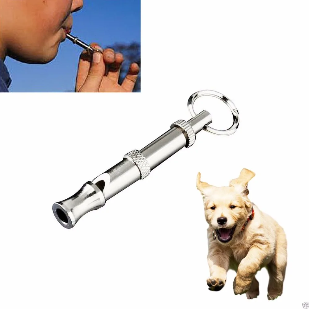Training Ultrasonic Sound Pet Products For Dog Puppy Dog Whistle Key Chain Whistle Stainless