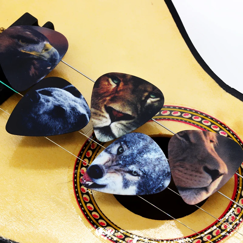 ae01.alicdn.com/kf/HTB1Ubt0RXXXXXaMXFXXq6xXFXXX1.jpg?size=725424&height=800&width=800&hash=144789a1ec3ba365014f11b600a915ab