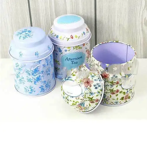 Lovestores Little Flower Pastoral Small Tea Pot Mini Tin Storage Case |