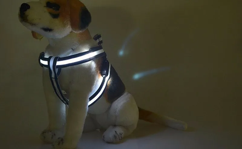 Pet harness MID--14