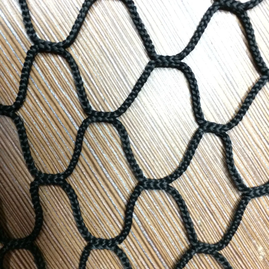 3087018299_108279737