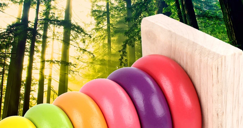 Wooden Toys (20)