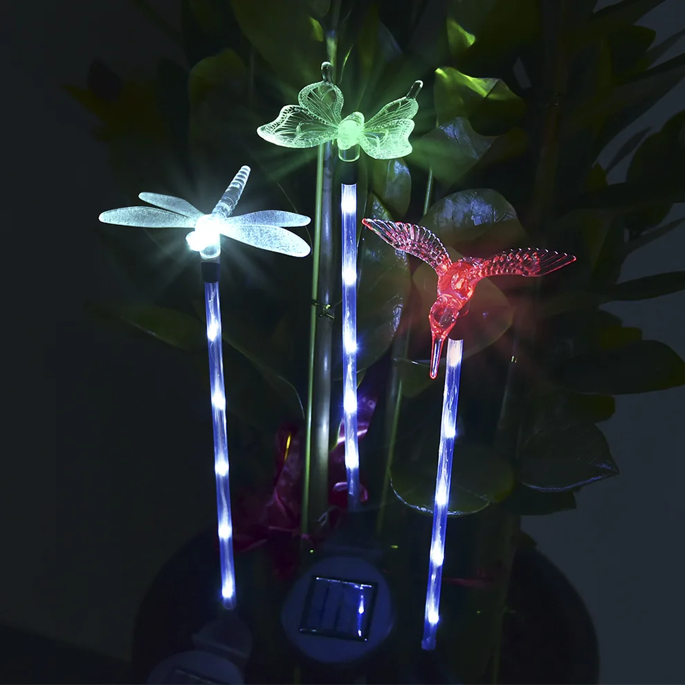 9071188648_1341466431