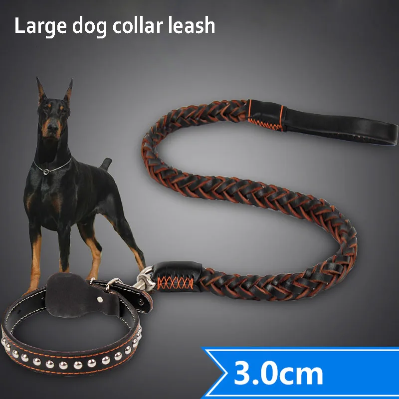 big dog chain leash