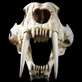 

Simulation Animal smilodon Head Skull Resin Crafts Specimen Medical Scary Home Decoration Skeleton Model Aquarium Decor