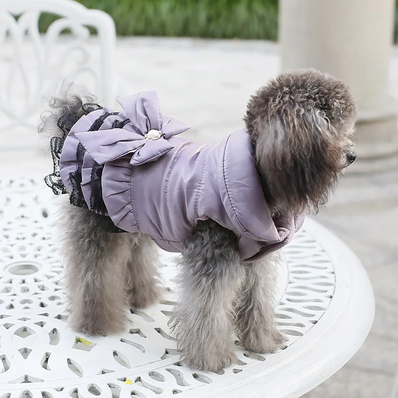 Пальто для домашних животных Тедди мягкая одежда для собак Бабочка бант кружева слои светильник-вес теплое пальто для маленьких питомцев XS s m l xl