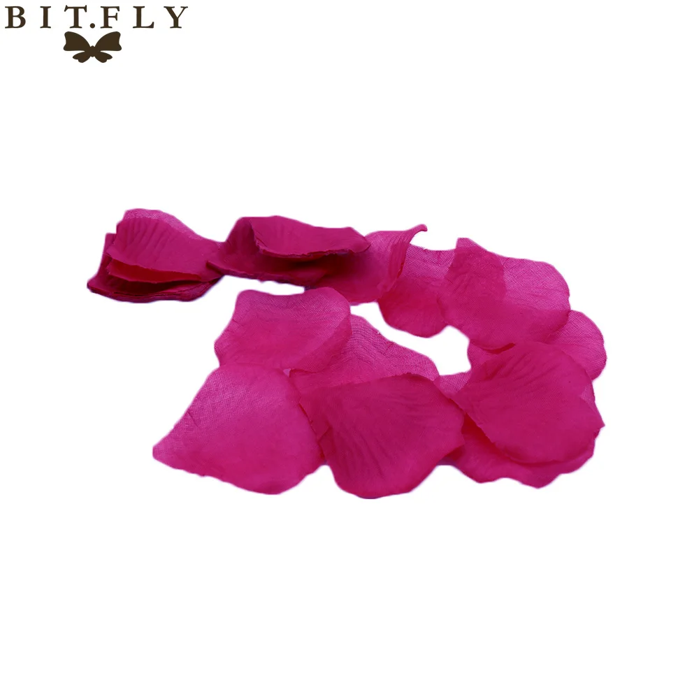C31-C01rose2