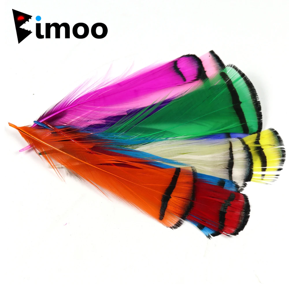 

Bimoo 10pcs Fly Tying Feather Tippet Nymph Wet Streamer Tube Fly Wing Tag Tail Fly Tying Material Salmon Steelhead