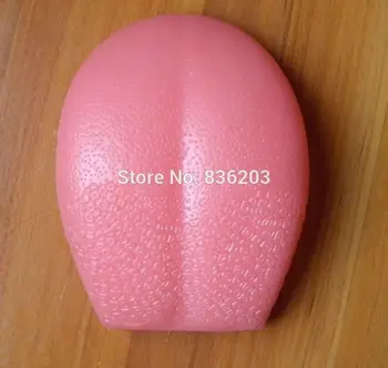 

Human Tongue Male Skull Brain Testicular Pathology Model Genital Skeleton Anatomical Syringe Model Corset for Posture
