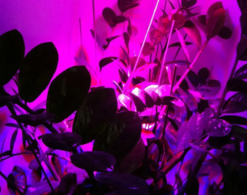 QQ20140107122713