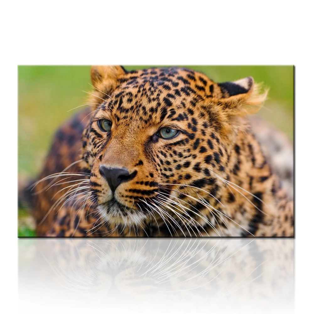 Afrikanische safari tier foto kunstdrucke leoparden geparden leinwand wandkunst bild für wohnzimmer dekoration kein rahmen