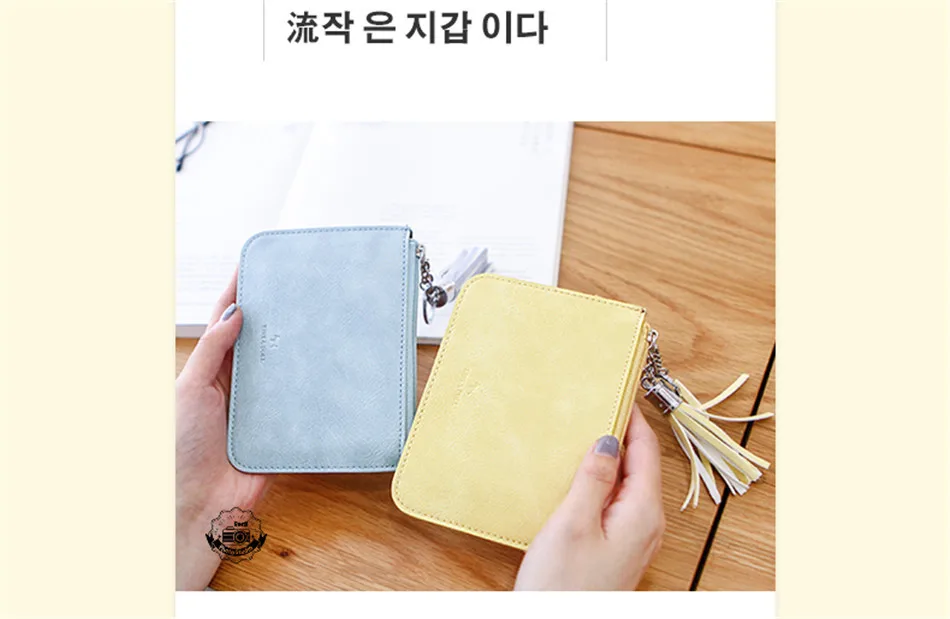 coin purses (1)