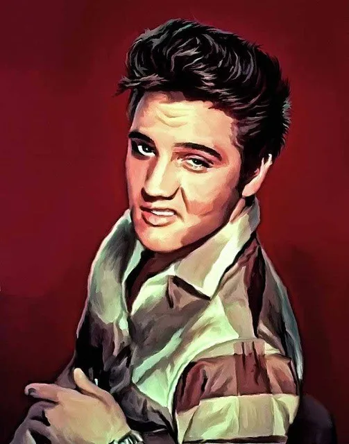 AZQSD DIY Acrylic Oil Painting Elvis Presley Painting Drawing Canvas