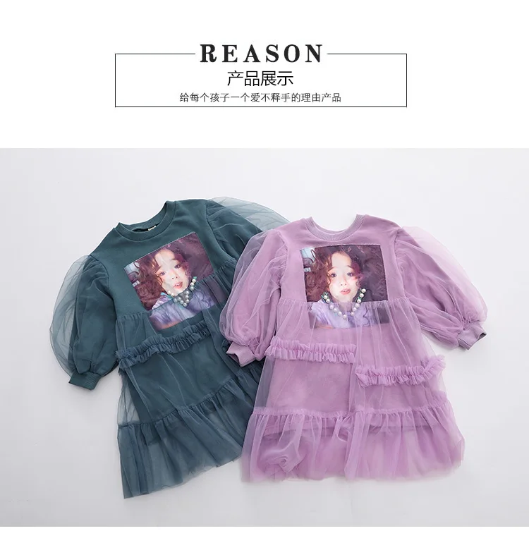 36020181224100017605_ -  -  (5) -  -  -  -  - 