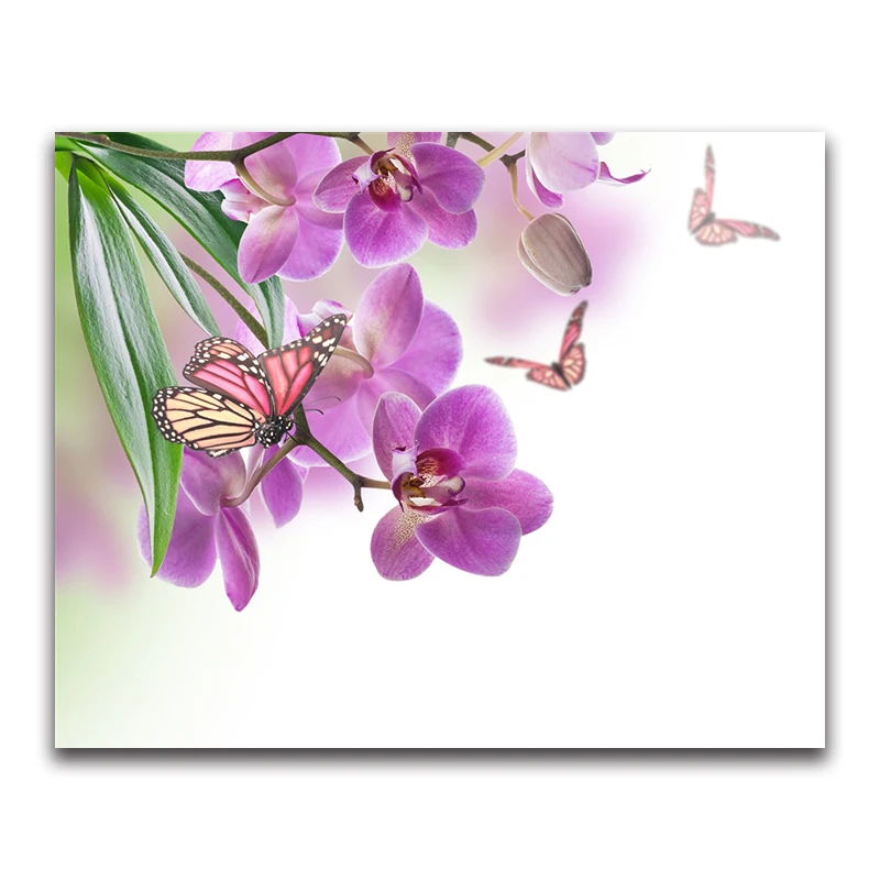 Resin drill 5D diy Full diamond painting cross stitch kits diamond embroidery mosaic pattern Phalaenopsis flower and Butterfly