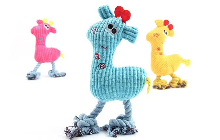 3053698074_820581130