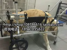 Pet cart / paralyzed dog, wheelchair / big dog, wheelchair / pet car / disabled dog cart / Pet cart