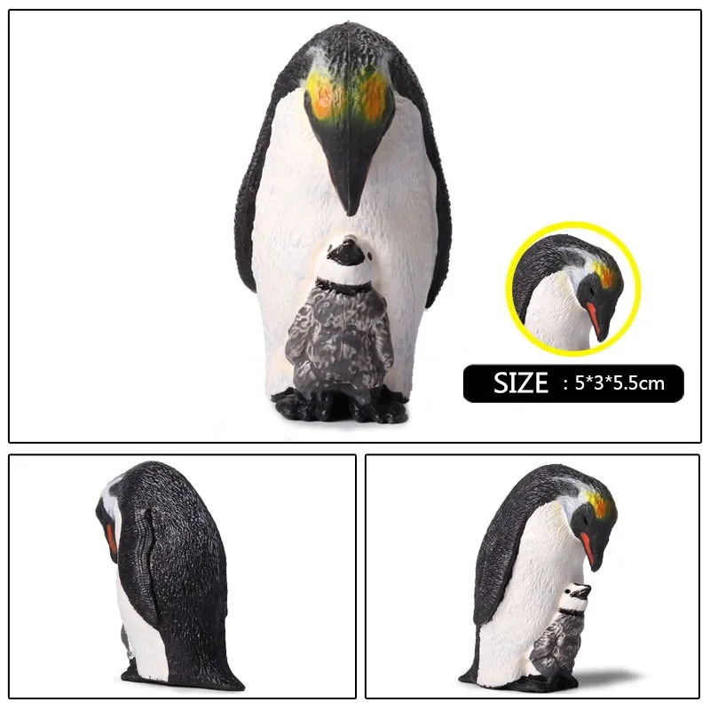 penguin (4)
