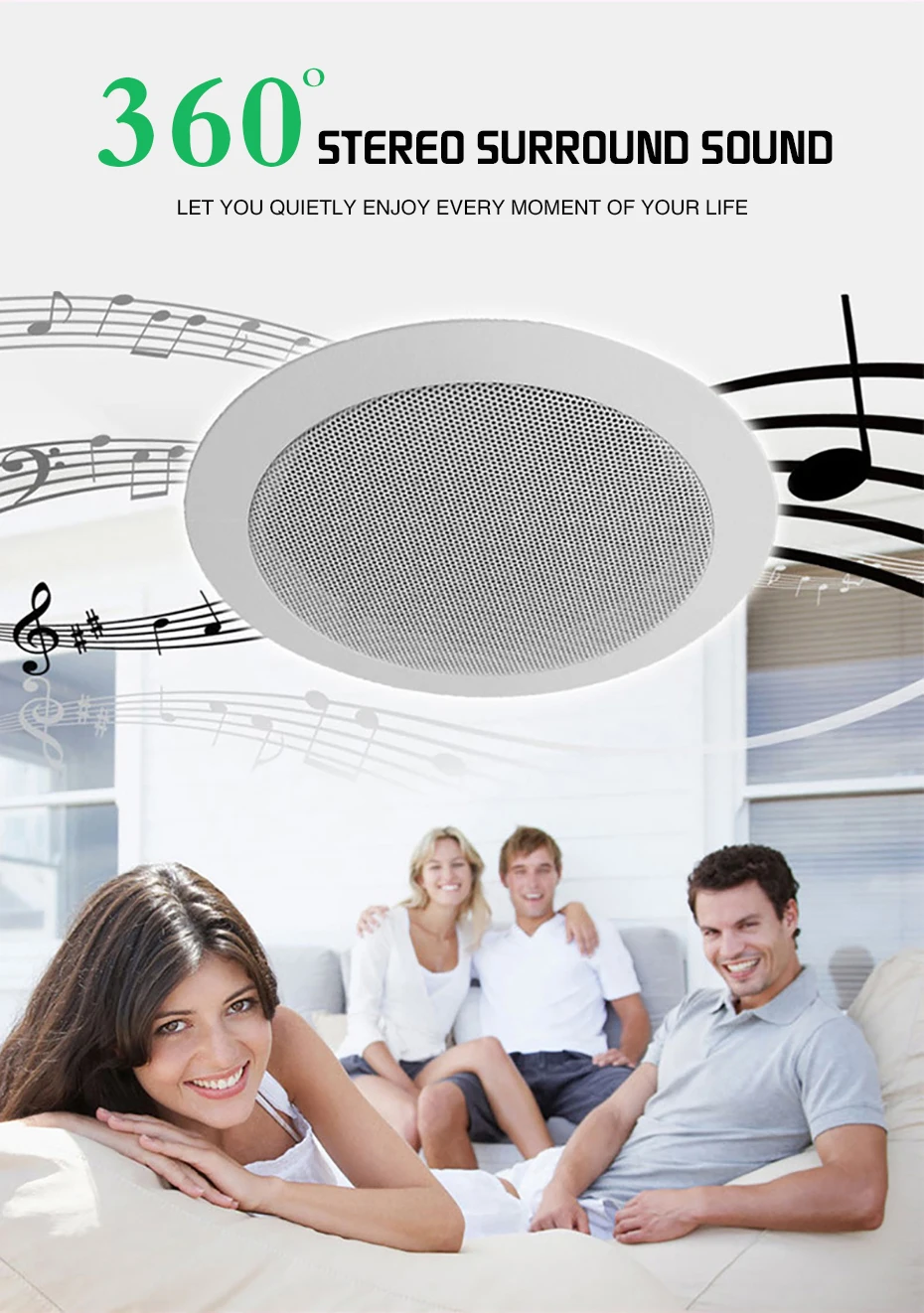 ceiling speaker (7)
