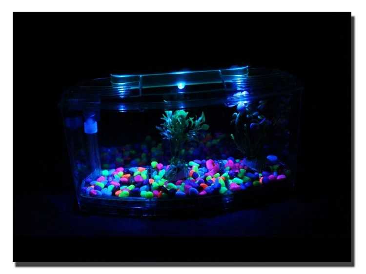 3 Cubicle Acrylic Fish Betta Guppy Tank Mini Aquarium with 2 Color Day/Night LED Light