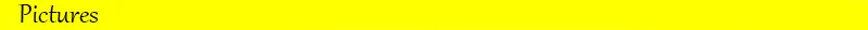303
