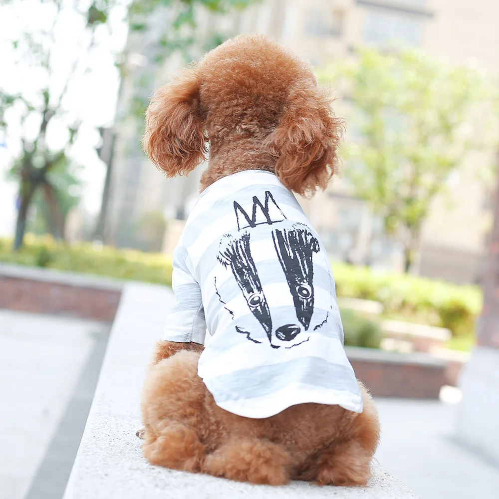 HOOPET Милая Одежда для собак, мягкие летние хлопковые футболки для щенков, футболка, костюм, одежда для маленьких домашних животных
