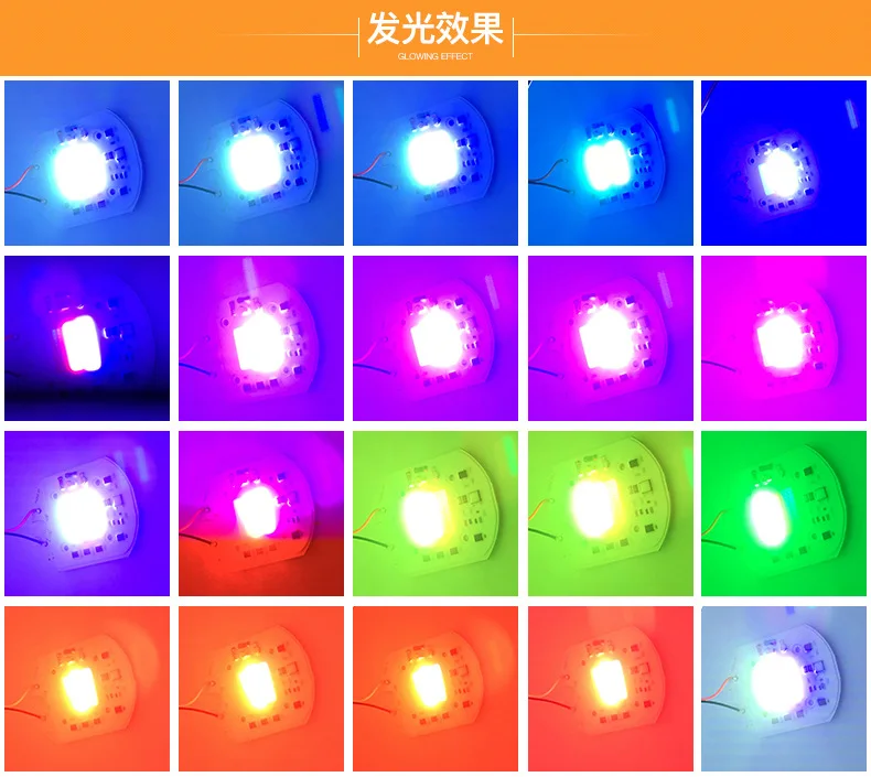 9231641782_576367572