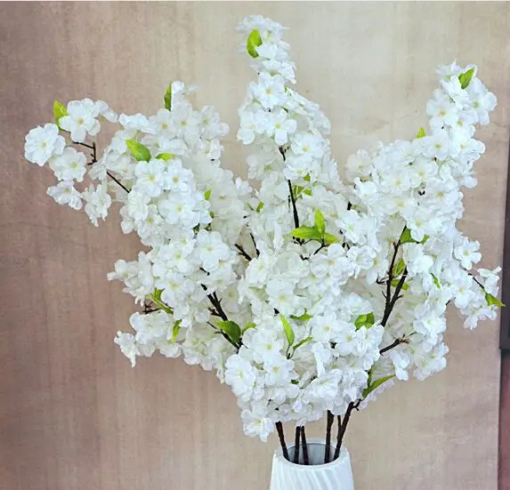 1000 Gambar Bunga Sakura Yg Besar Terbaik 1000 Gambar Bunga Sakura Yg Besar Terbaik