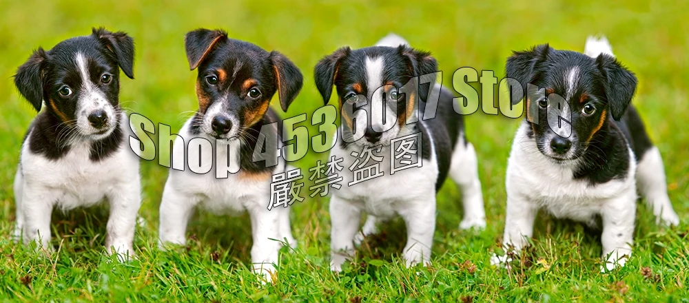 

Dogs Baby Animal 5D Diy Diamond Painting Cross Stitch Diamond Embroidery Jack Russell Terrier Puppies Hobbies Crafts Mosaic Kits