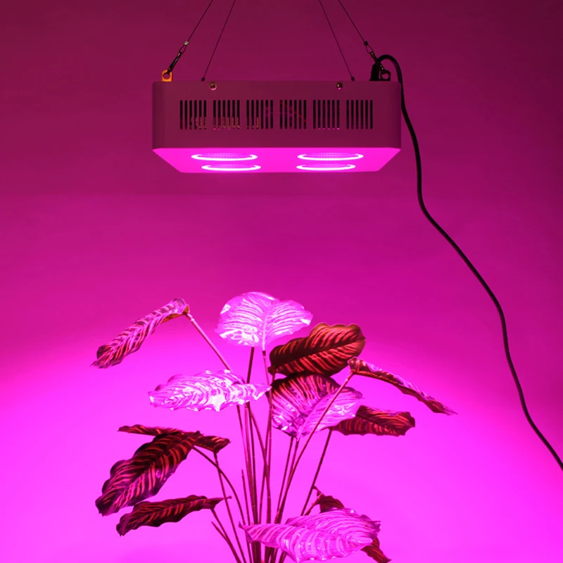 Yabstrip 1200 W COB светодиодный светать полный спектр fitolamp для внутреннего салат посева парниковых растений светодиодный Фито лампа