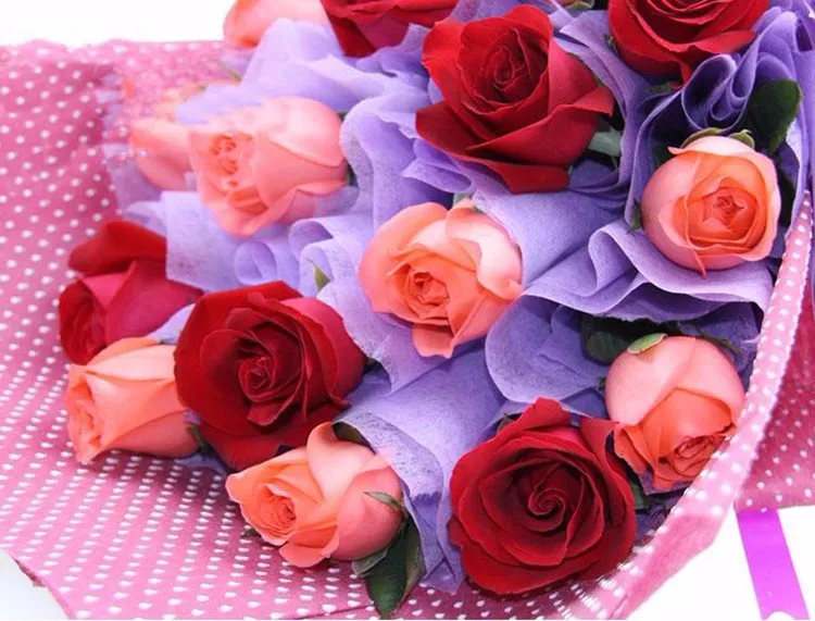 HTB1gCDzJFXXXXaqXpXXq6xXFXXXP