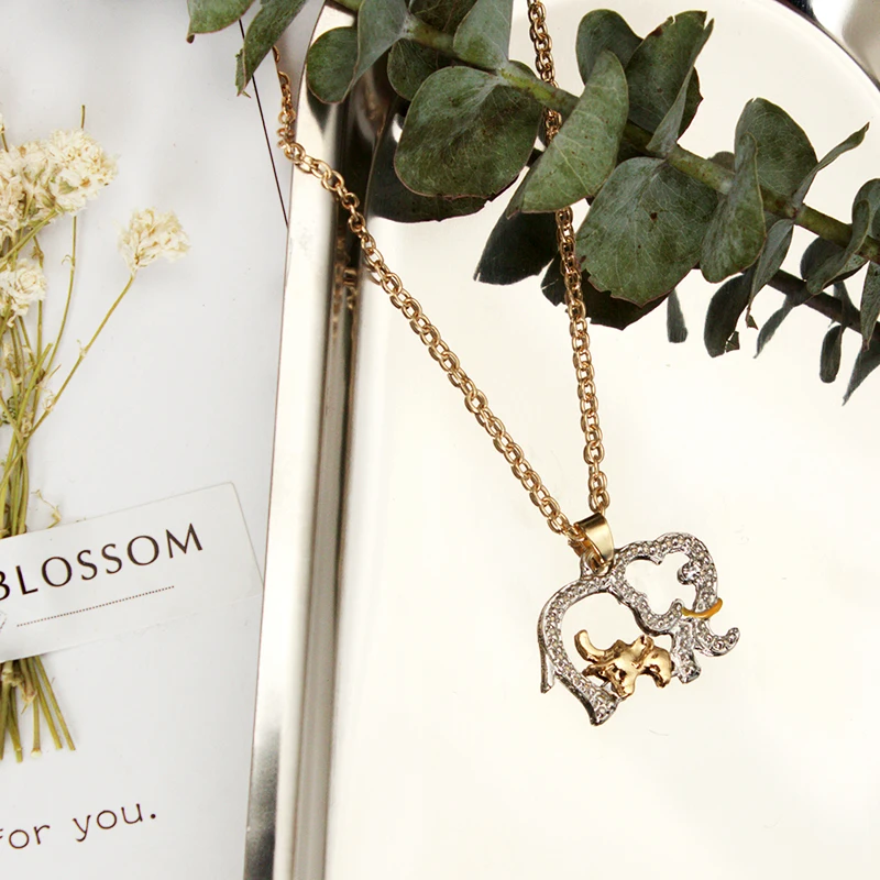 7289186337_702615474