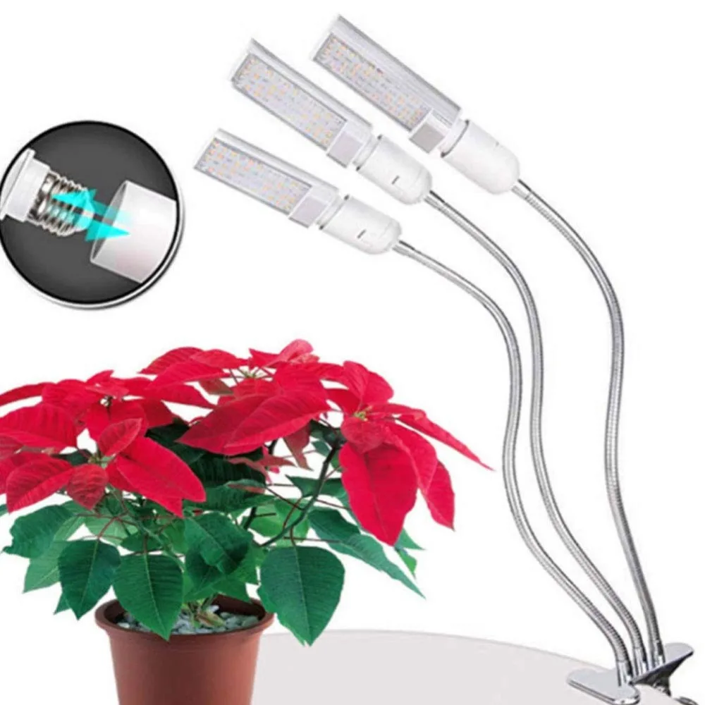 61CeW07aO-L._SL1001_