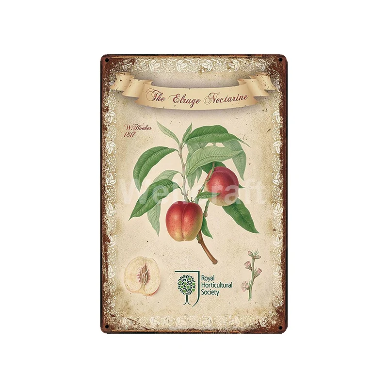 [WellCraft] цветочный горшок птицы растение сад металлический знак настенные плакаты художественные старинные картины индивидуальность пользовательский Декор LT-1761 - Цвет: SL-10648