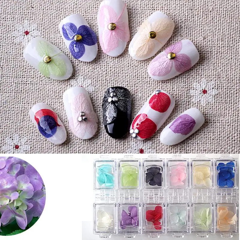Popular Nail Art Dried Flowers 3pcs/set Dried Flower Everlasting Real