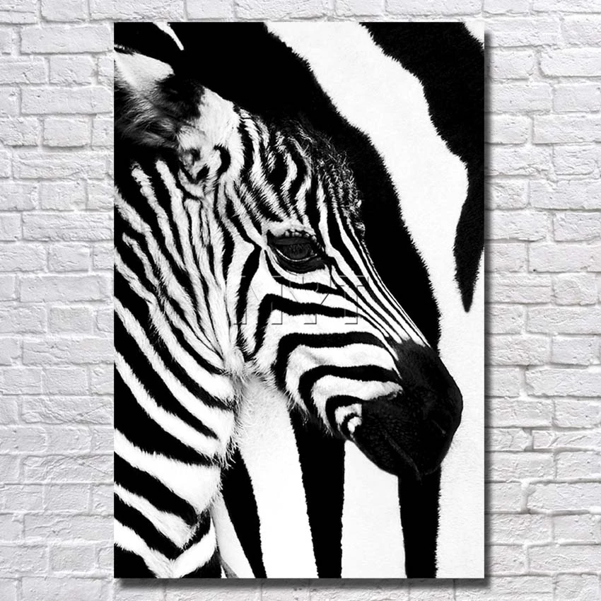 Картина Зебра Штрих Код Купить