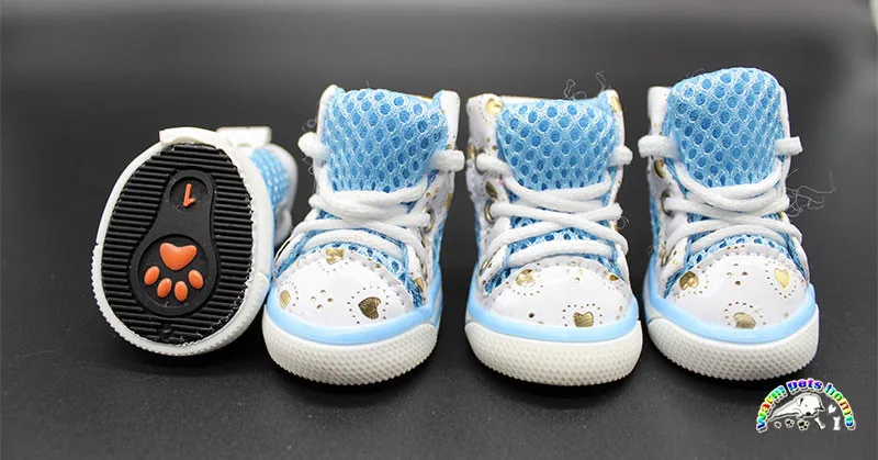 summer shoes for dogs
