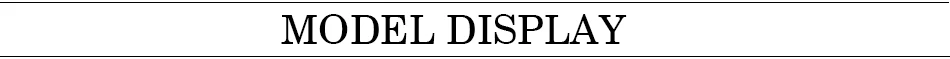 Model（模特）