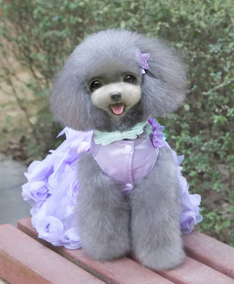 SYDZSW платье-пачка для собак Одежда для домашних животных для маленьких собак кошек роскошное платье принцессы с жемчужным бантом для щенков костюм Чихуахуа