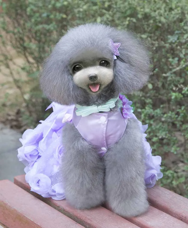 SYDZSW Dog Tutu Dress Pet Clothing for Small Dogs Cats Luxury Pearl Bowknot Puppy Dog Princess Dress Chihuahua Costume Wholesale12