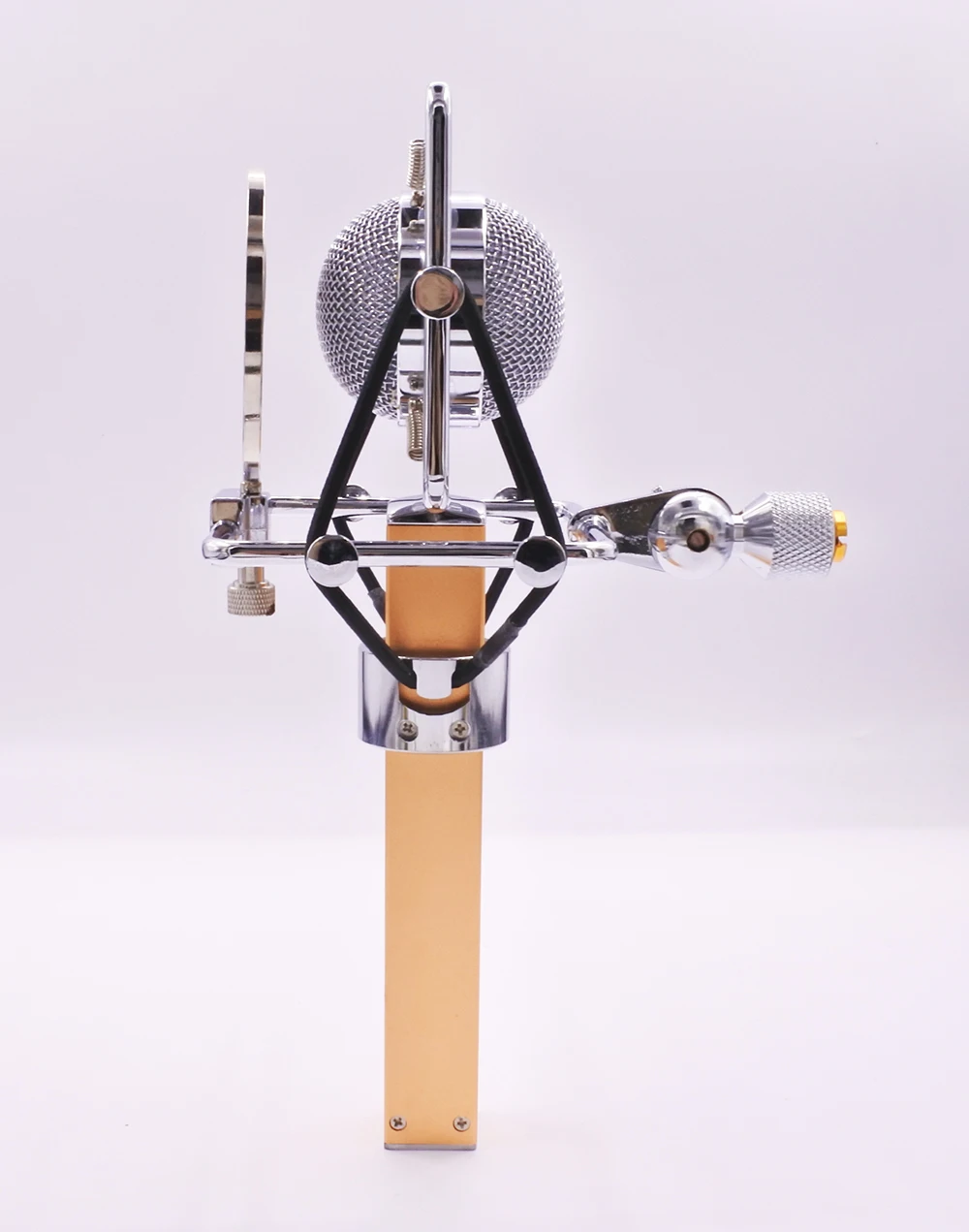 Dragonfly style professional studio computer vocal