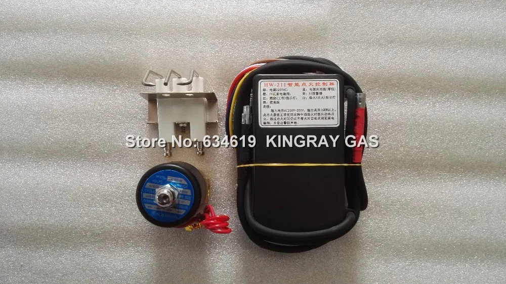 220-240V Gas Ignition Control Unit With Sparking Ignitor&Solenoid Valve, Pulse Black Box Auto Gas Lighter Module For Oven gas ignition control unit