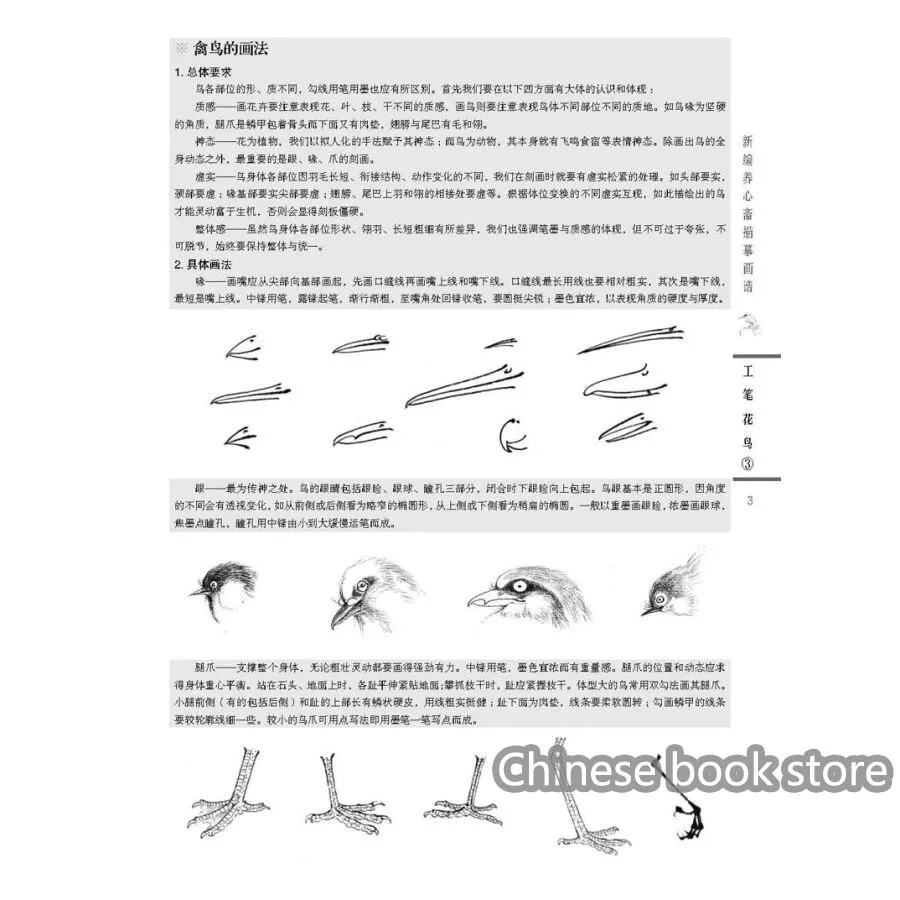 Chinesische Traditionelle Realistische Malerei Kopie Lehrbuch Exquisite Pinsel Feine Pinselfuhrung Gemalde Buch Fur Anfanger Zu Kopieren Book Vinyl Painting Sayingspaintings Custom Aliexpress