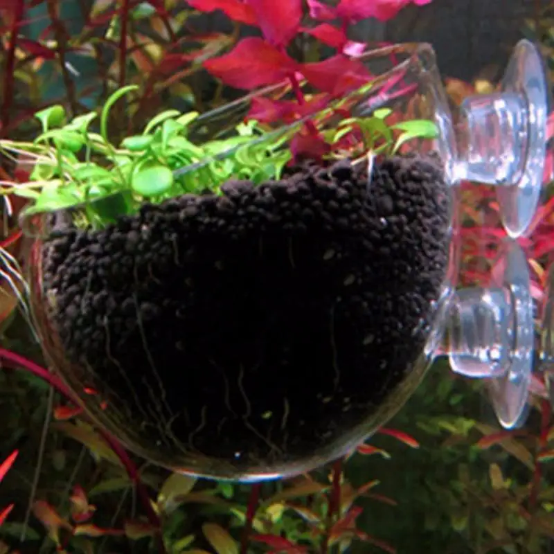 Водные растения пейзажи горшки чашки мини красный аквариум для креветок для аквариума Хрустальное растение в горшке подстаканник