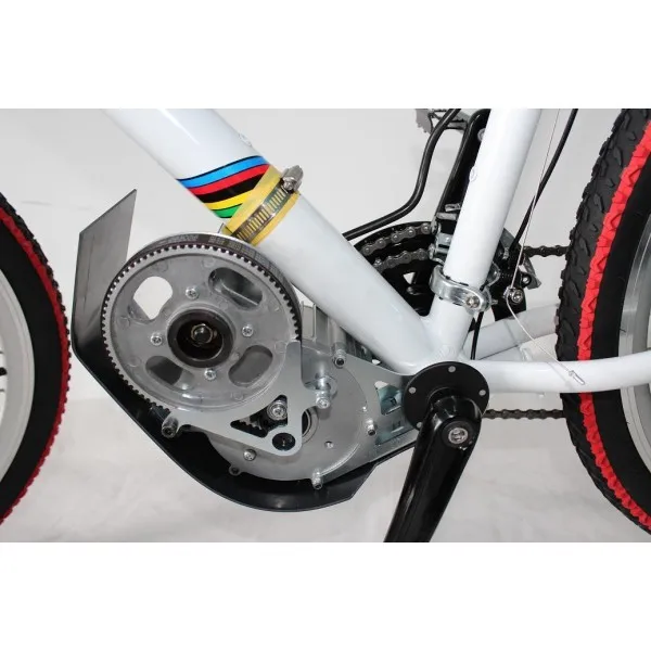 mid motor electric bike
