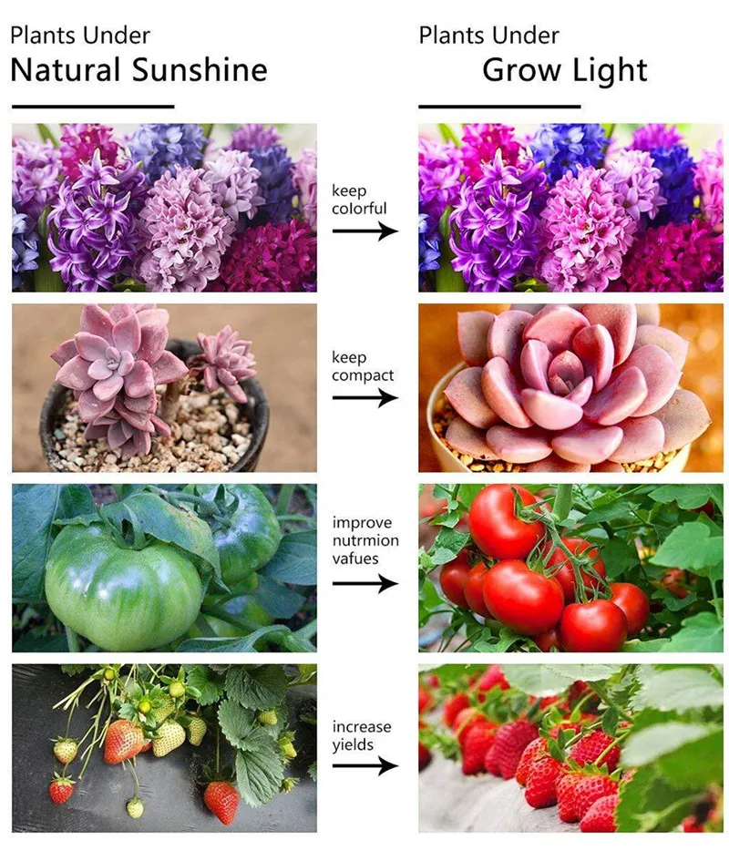 led grow light (6)_