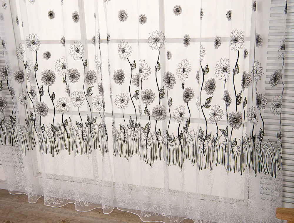 _DSC6260
