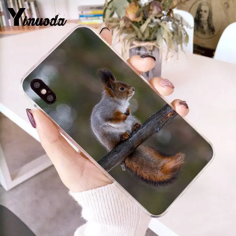 Yinuoda для iPhone 7 Чехол мобильного телефона с изображением белки пить воду зеленая