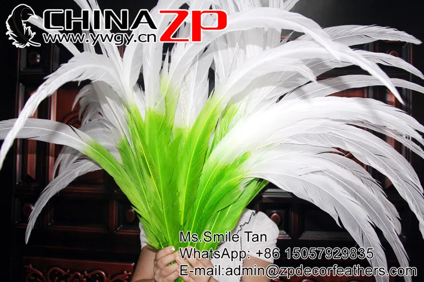 65~70cm green with white tip dould color silver pheasant feather  (9)
